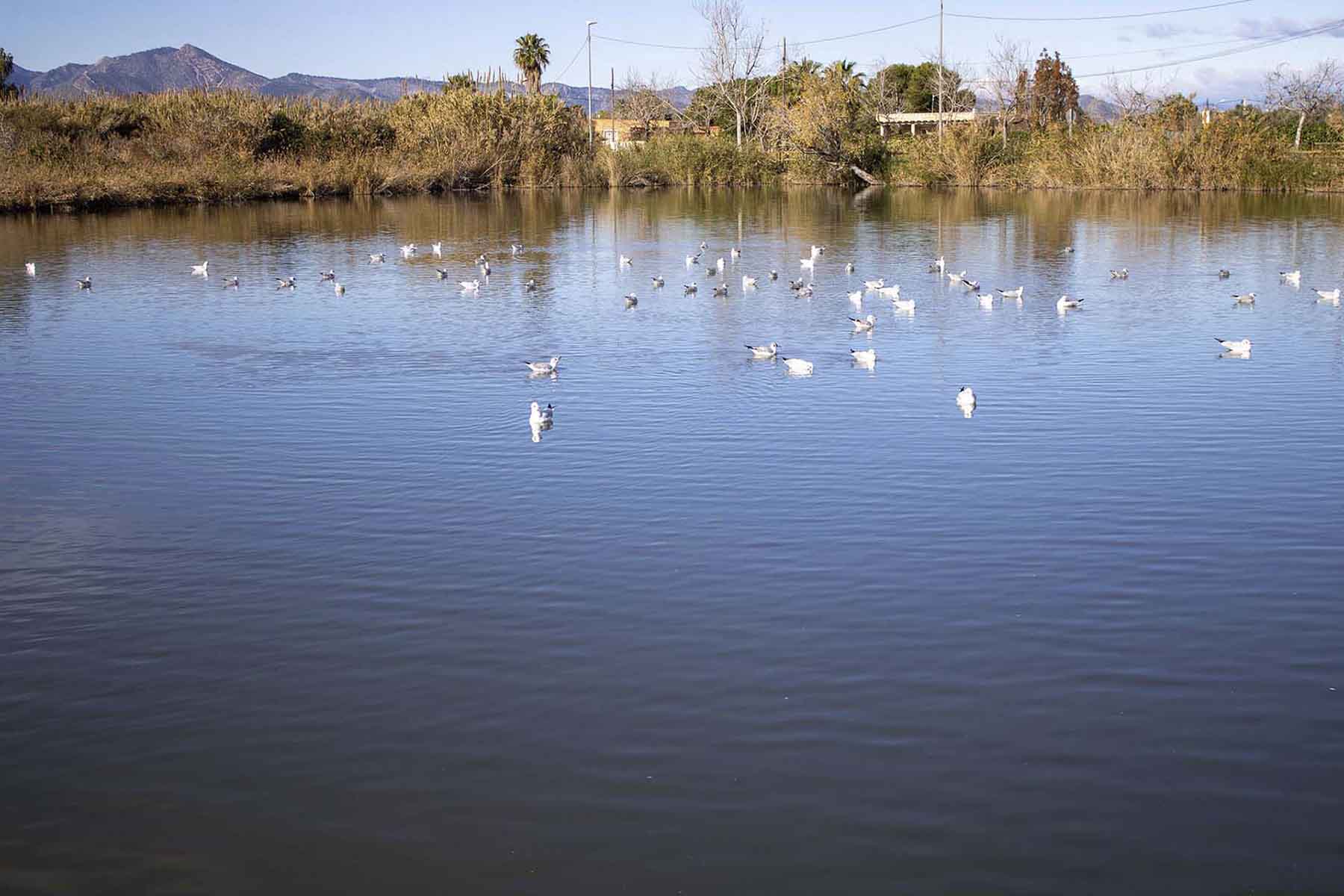 l'Estany